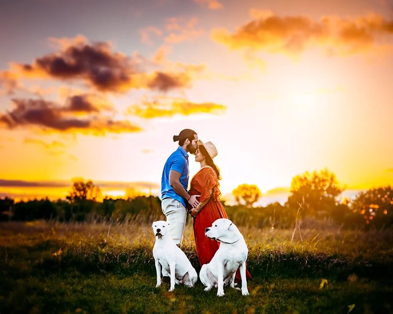 Family of 2 announcing pregnancy with their dogs at a Maternity Photography Session with Two Wild Souls Photography