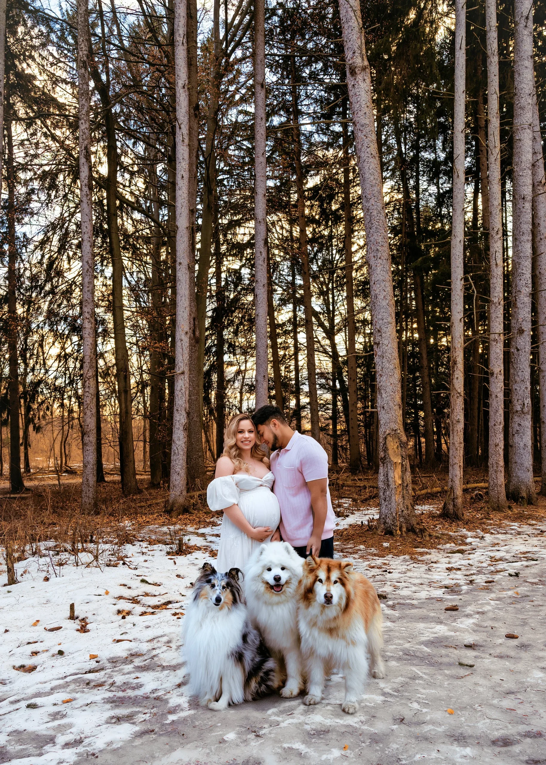 A pregnant woman and a man standing together in a wooded area with four dogs, sunset in the background.